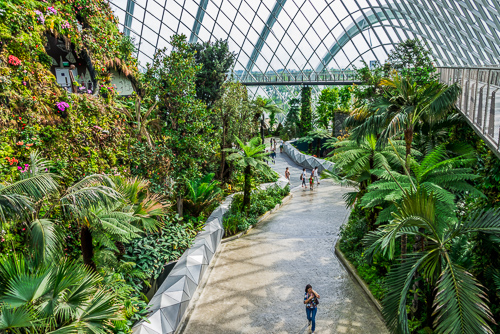 Gardens by the Bay in Singapore