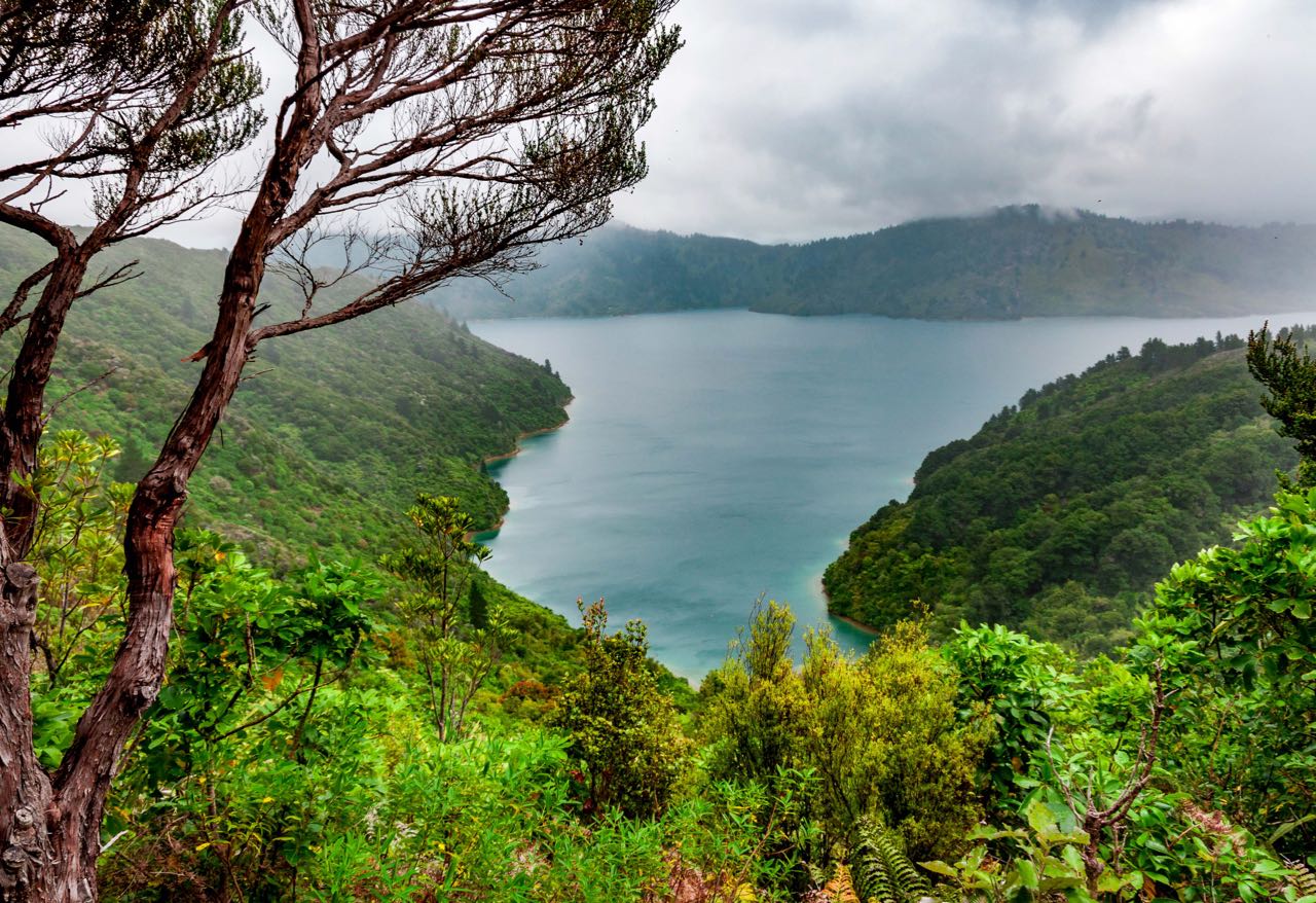 luxury trekking in new zealand