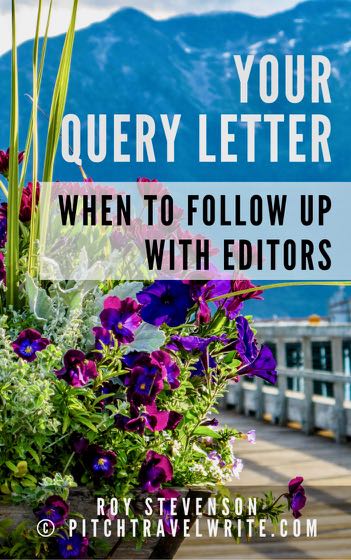 your query letter