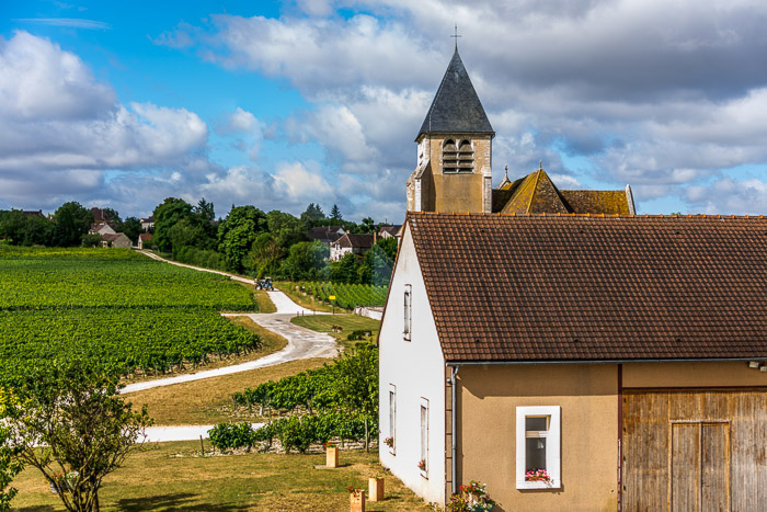 wine tasting and beautiful scenery at Jean-Marc Brocard Estate in Chablis, France.