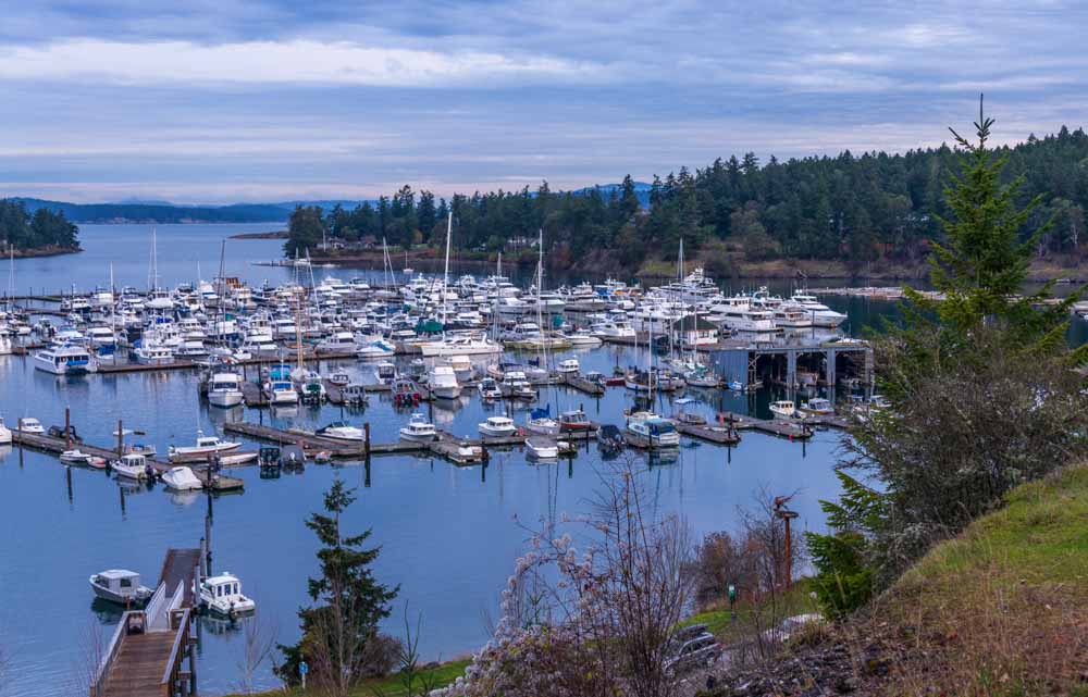 a press trip request to San Juan island led us to beautiful Roche Harbor