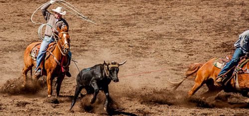 Roundup rodeo event at Mt. Adams in Washington State.