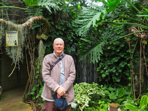 Rey Waters standing in a tropical greenhouse